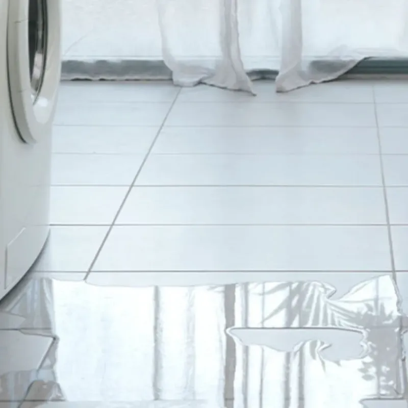 Appliance Leak Cleanup in Omro, WI