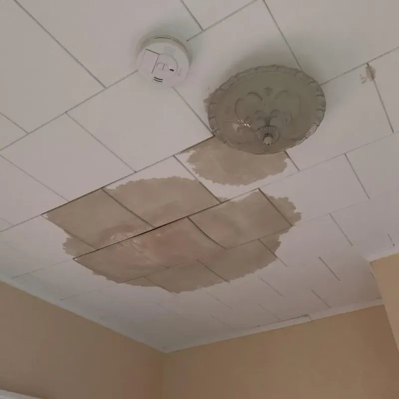 Ceiling Water Damage Repair in Omro, WI