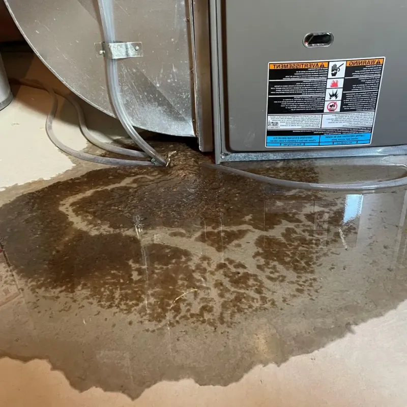 Pipe Burst and Leak Restoration in Omro, WI