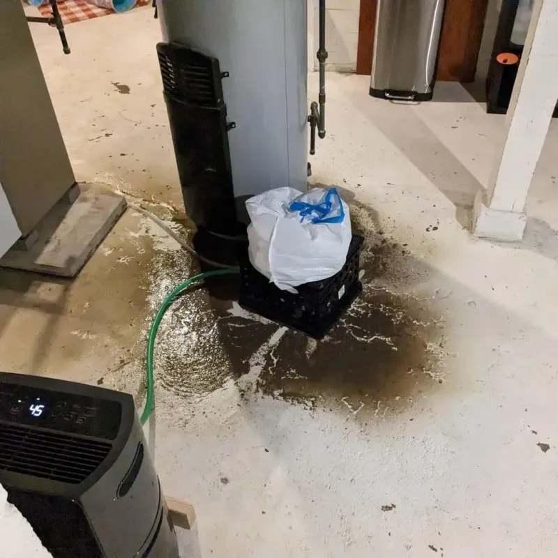 Sewage Backup Cleanup Service in Omro, WI
